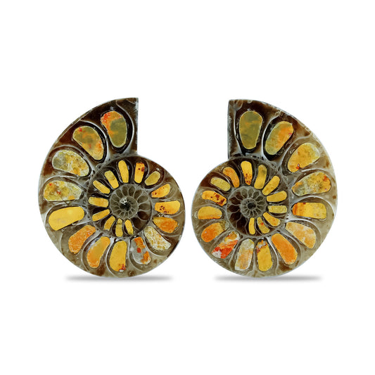 Starborn Half Ammonite with Bumblebee Jasper Inlay Cabochon 25 - 29 mm, 1 Pair
