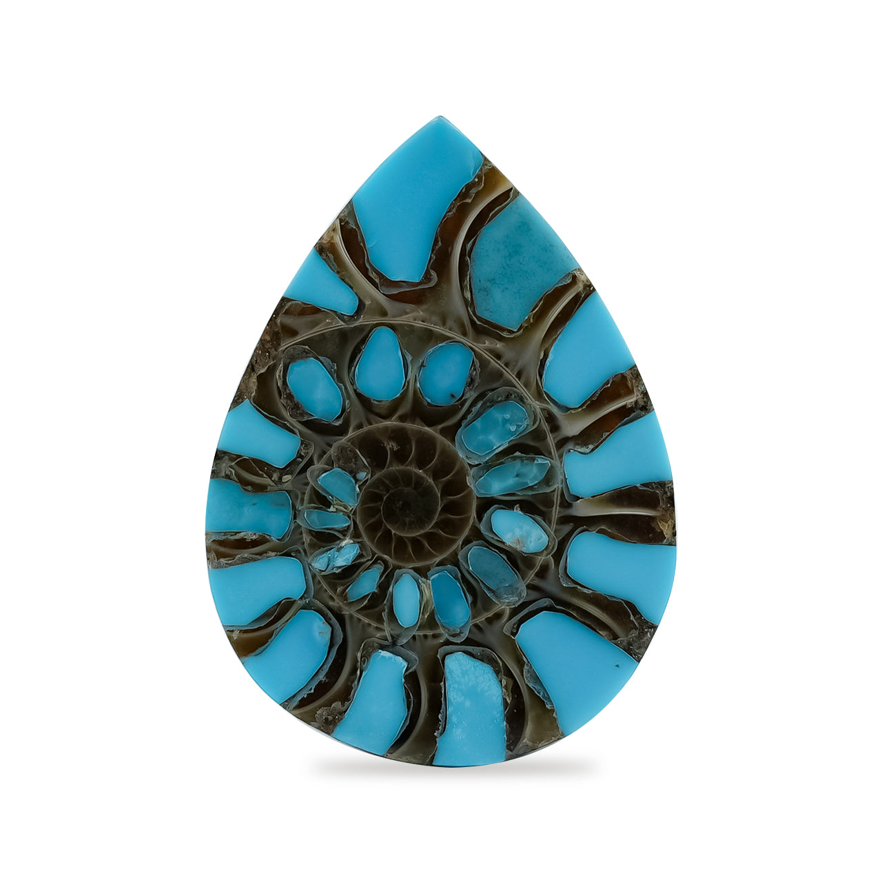 Starborn Ammonite with Turquoise Inlay Pear Cabochon 18 x 25 mm, 1 Piece