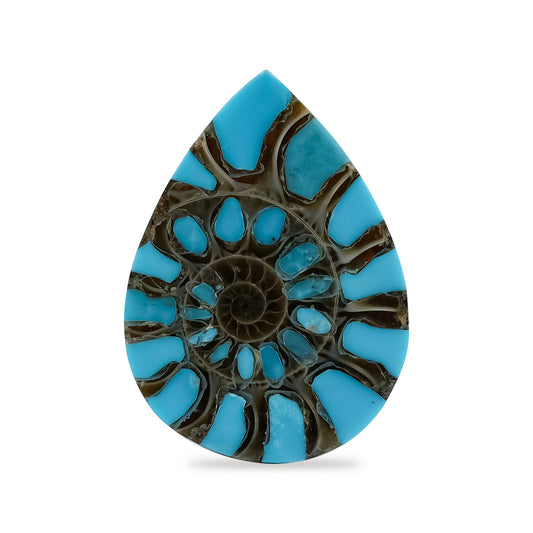 Starborn Ammonite with Turquoise Inlay Pear Cabochon 18 x 25 mm, 1 Piece