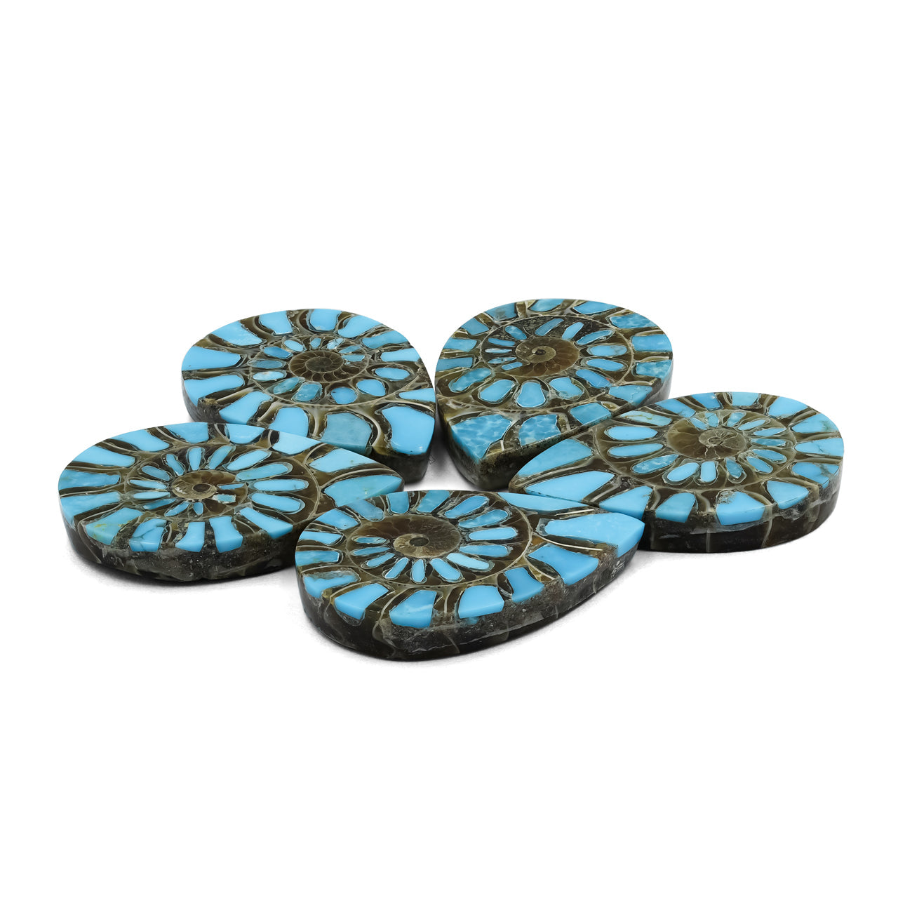 Starborn Ammonite with Turquoise Inlay Pear Cabochon 18 x 25 mm, 1 Piece