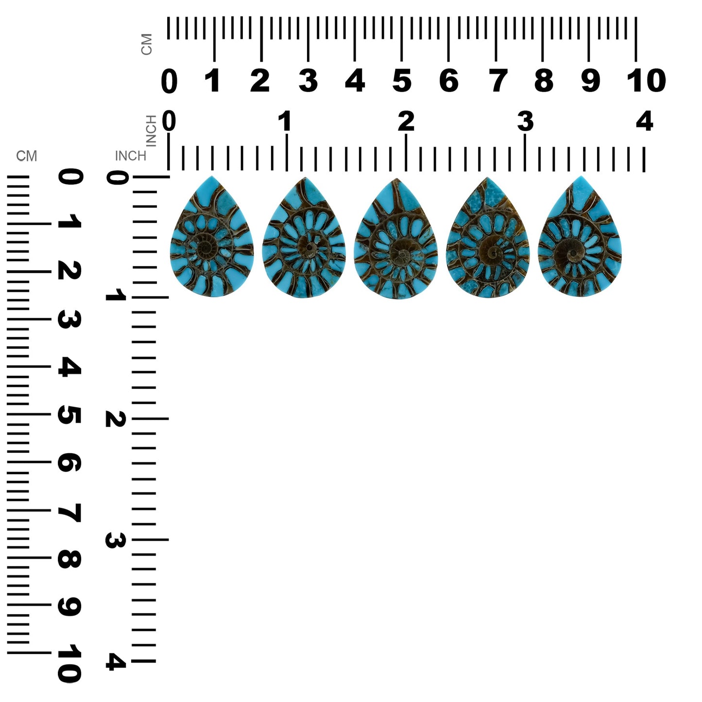 Starborn Ammonite with Turquoise Inlay Pear Cabochon 18 x 25 mm, 1 Piece