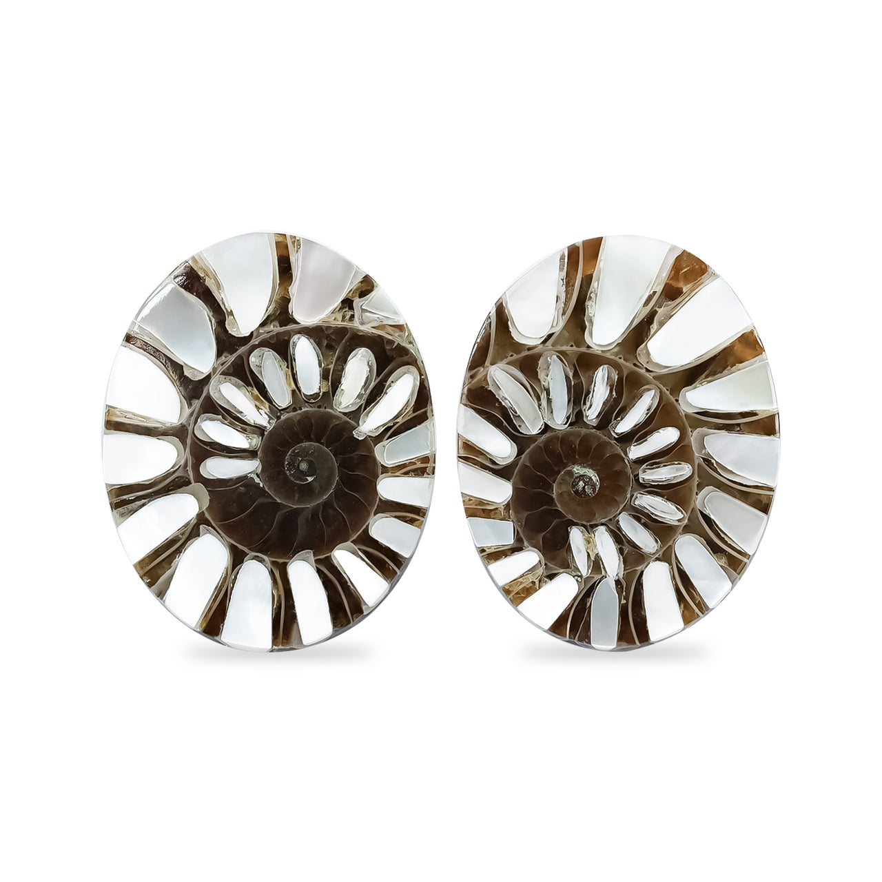 Starborn Ammonite with Mother of Pearl Inlay Oval Cabochons (14x18 mm) - 1 Pair