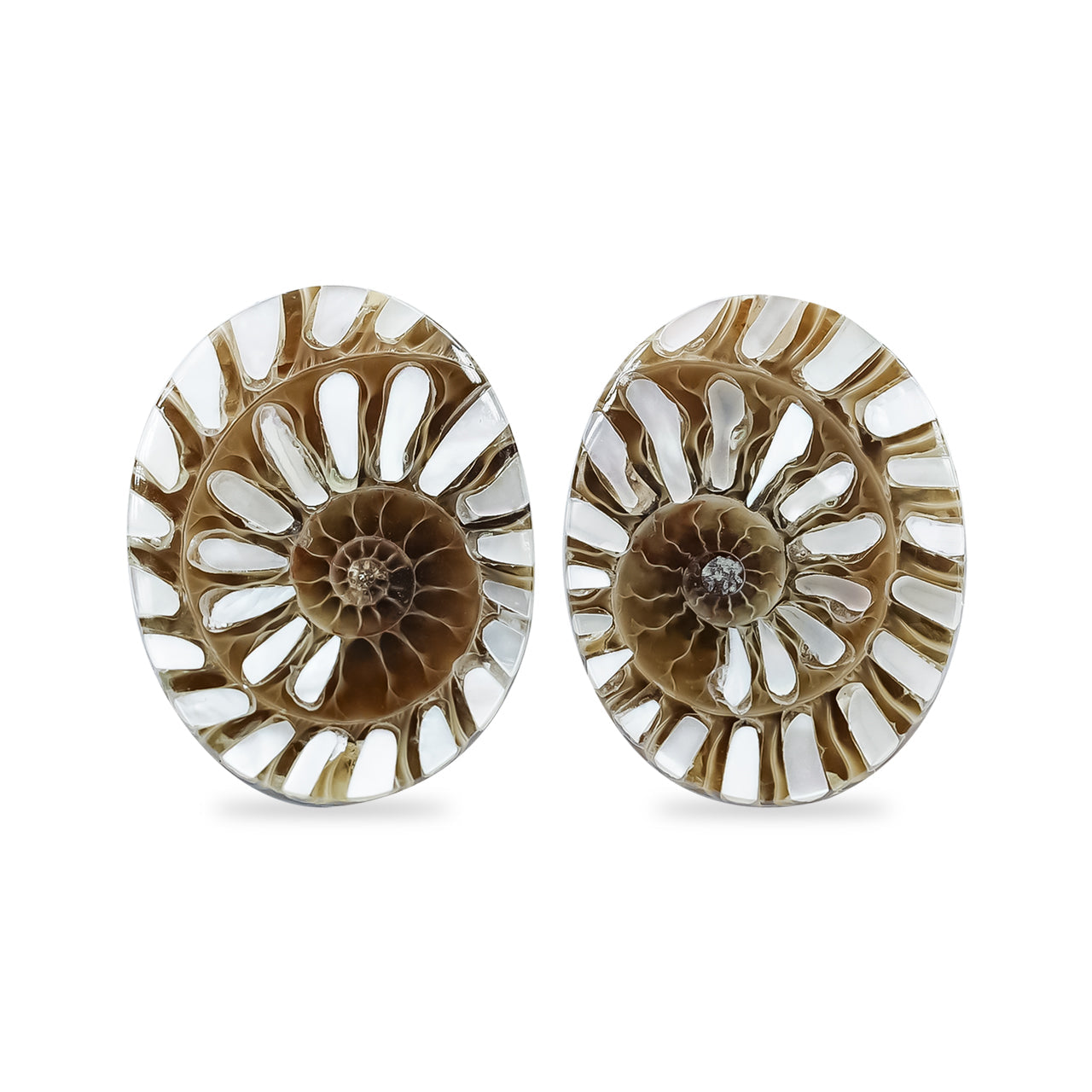 Starborn Ammonite with Mother of Pearl Inlay Oval Cabochons (14x18 mm) - 1 Pair