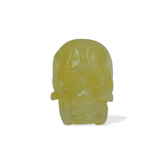 Starborn Baltic Amber Hand Carved Skull (22-25mm) - 1 Piece