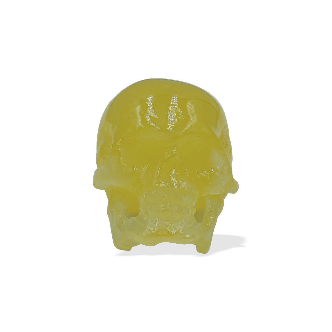 Starborn Baltic Amber Hand Carved Skull (22-25mm) - 1 Piece