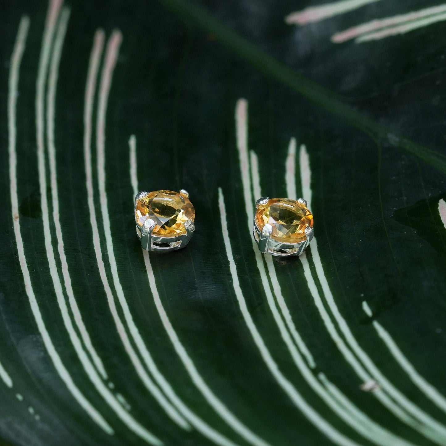 Starborn Citrine Faceted Round Post Earrings in Sterling Silver