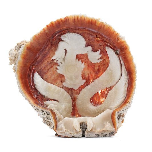 Starborn Hand Carved Spiney Oyster Shell Dragon - 1 Piece