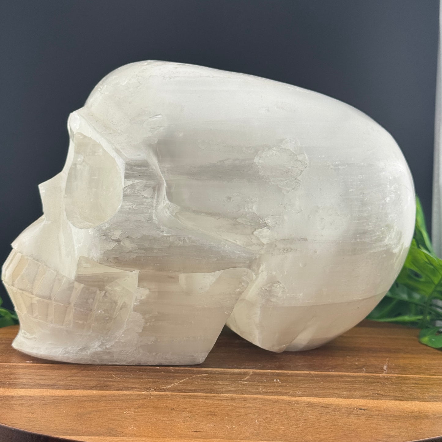 XL Satin Spar Selenite Skull