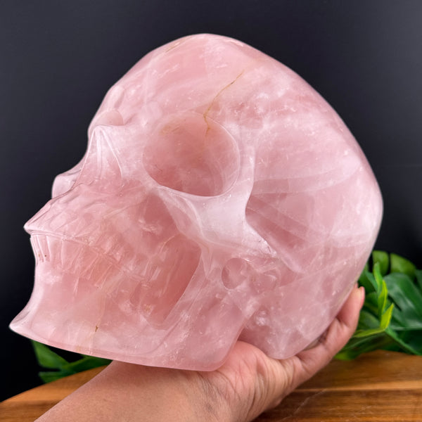 XL Rose Quartz Skull
