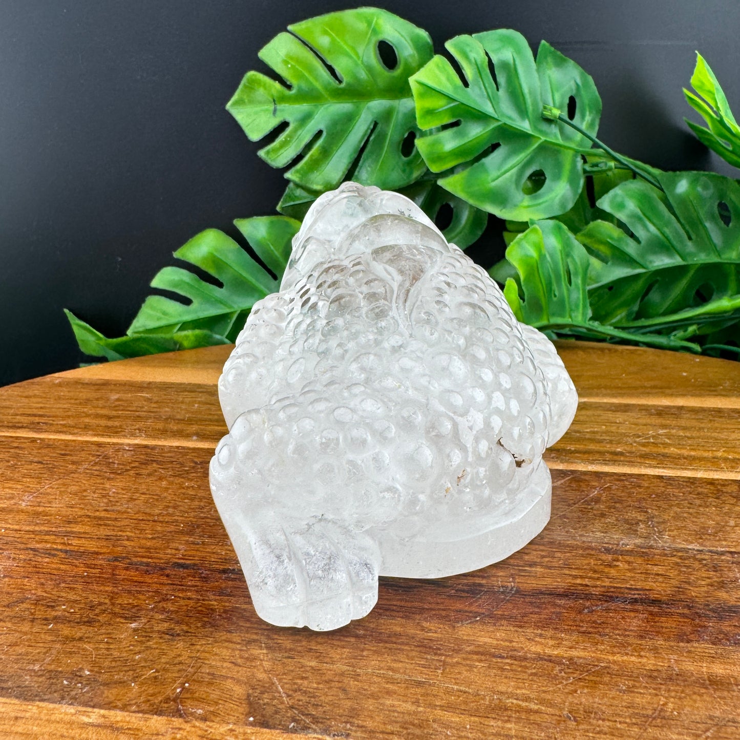 Clear Quartz Money Toad