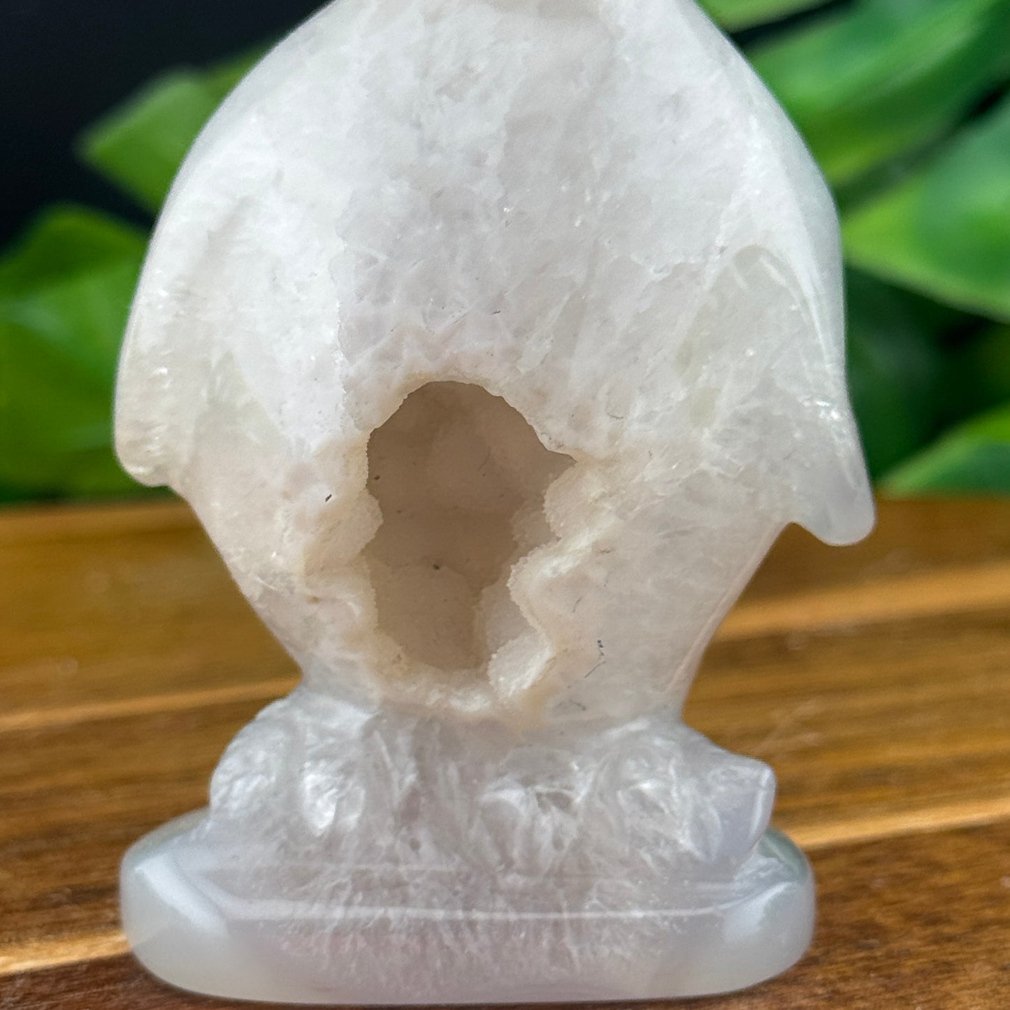 Botyrodial Druzy Agate Penguin