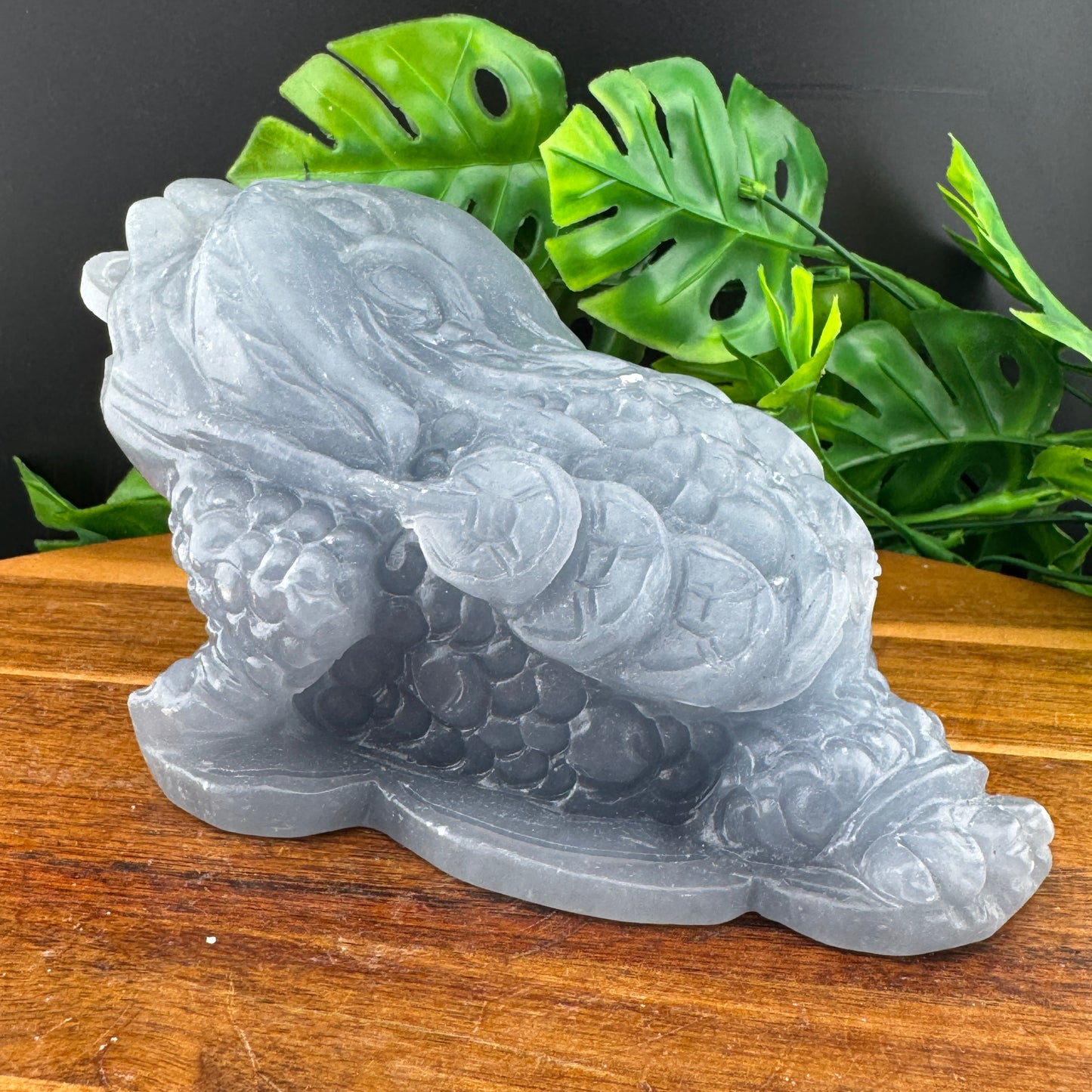 XL Angelite Money Toad