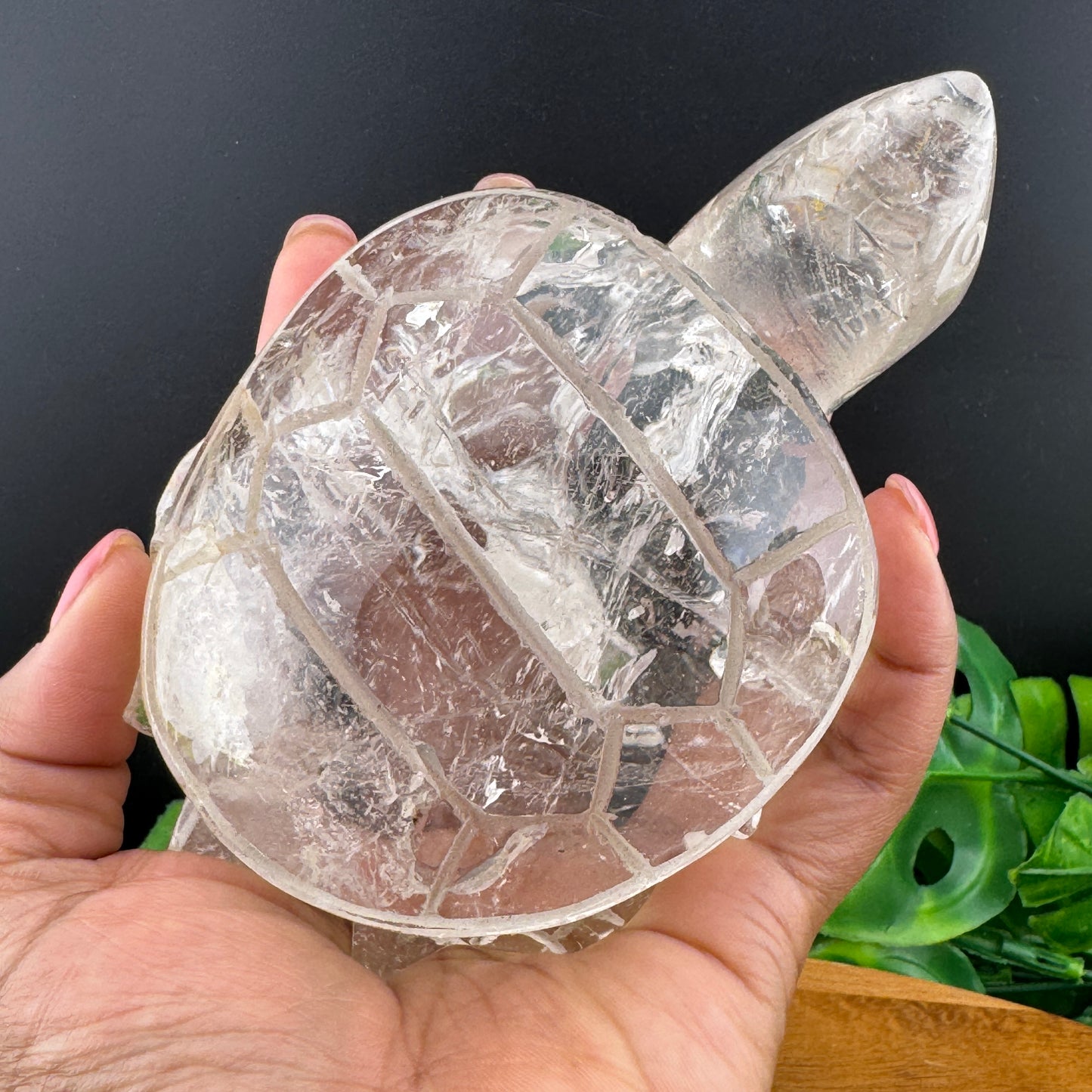 Clear Quartz Large Turtle Carving