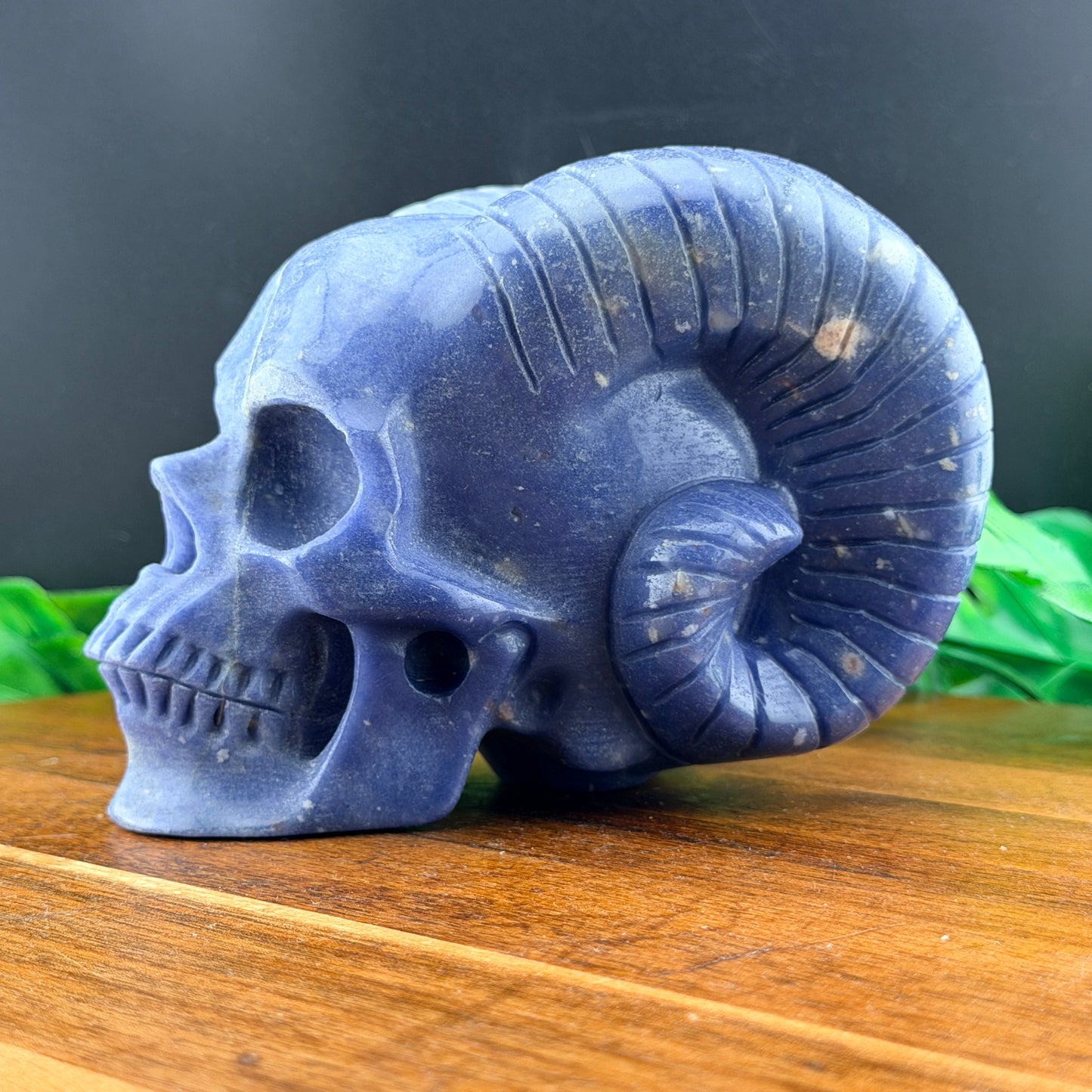 Blue Aventurine Horned Skull