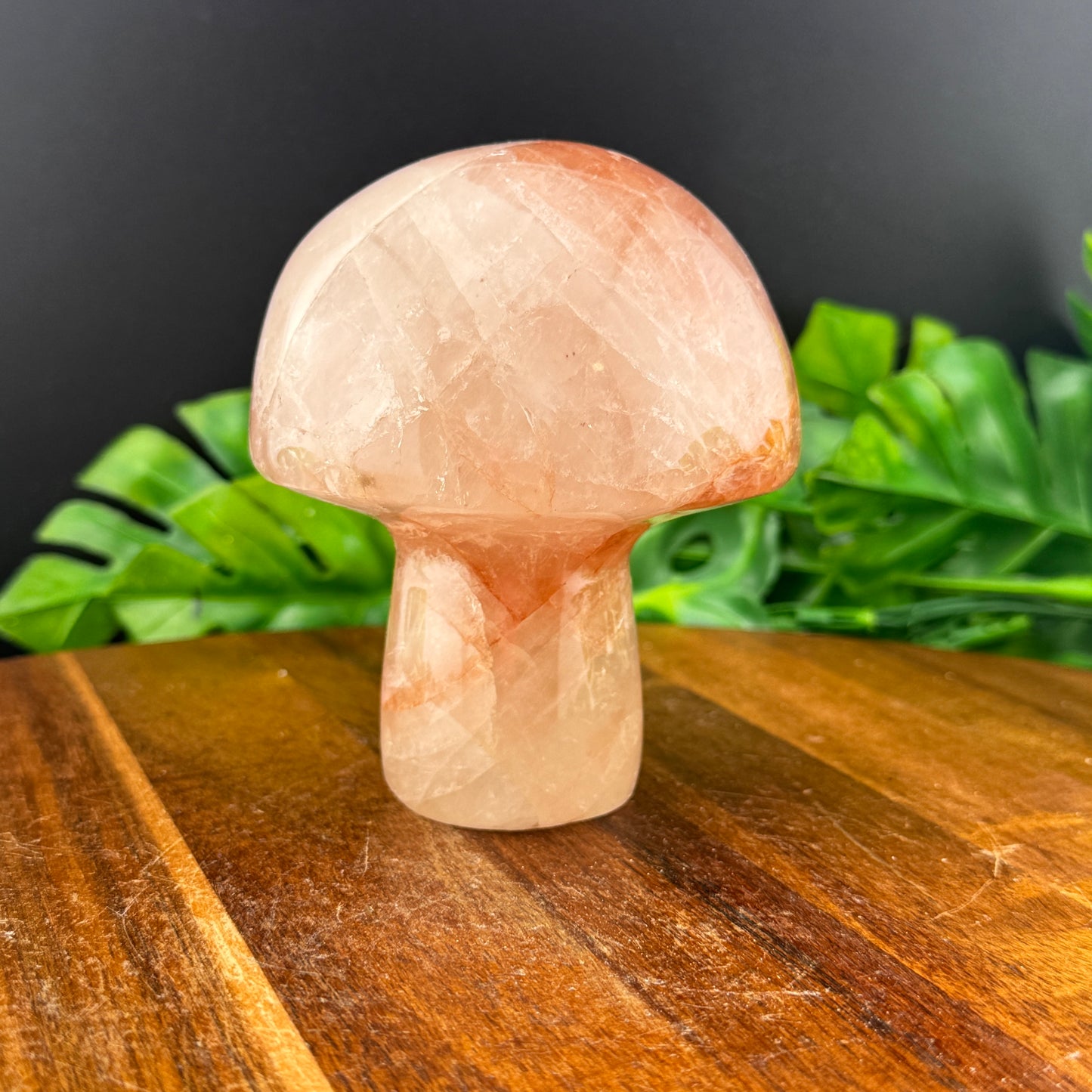 Golden Healer XL Mushie Carving