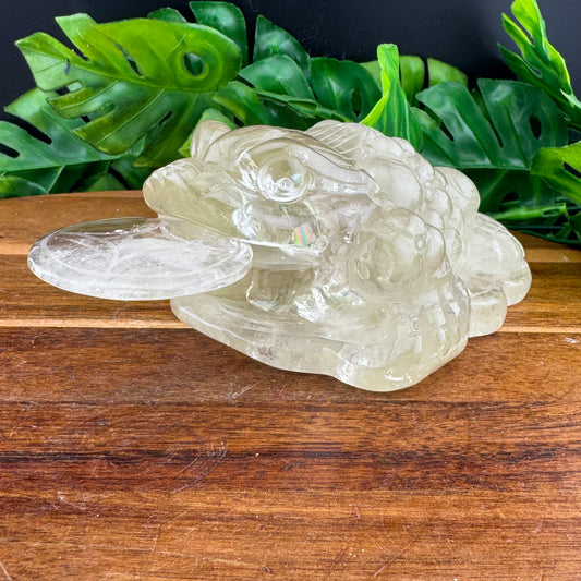 Rainbow Citrine Money Toad