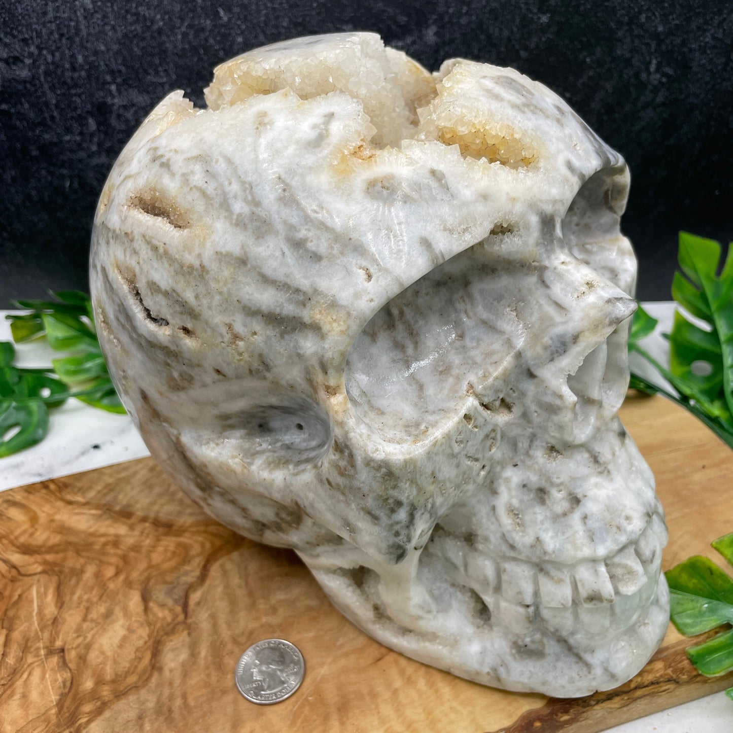 Massive 17 lb Druzy Agate Skull