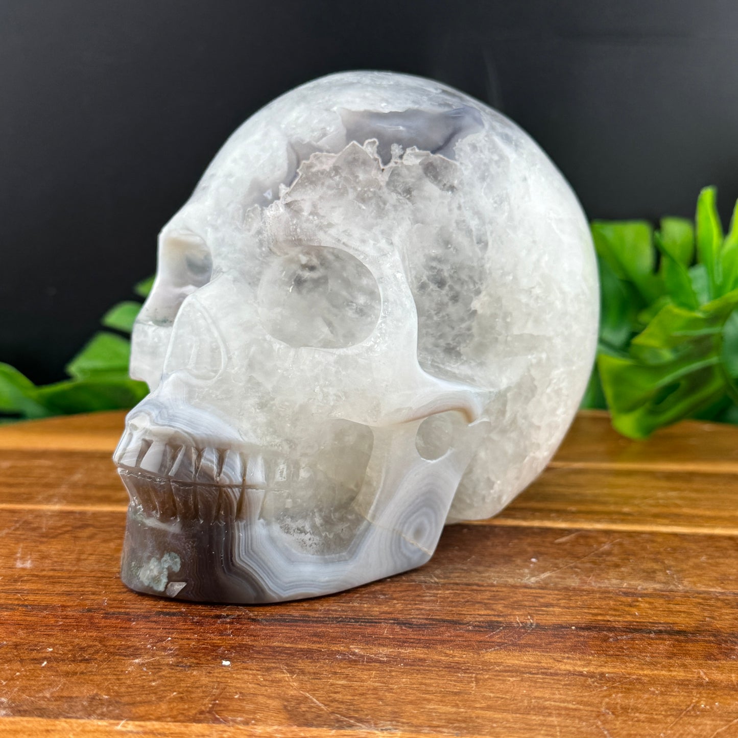Banded Brazilian Agate Skull