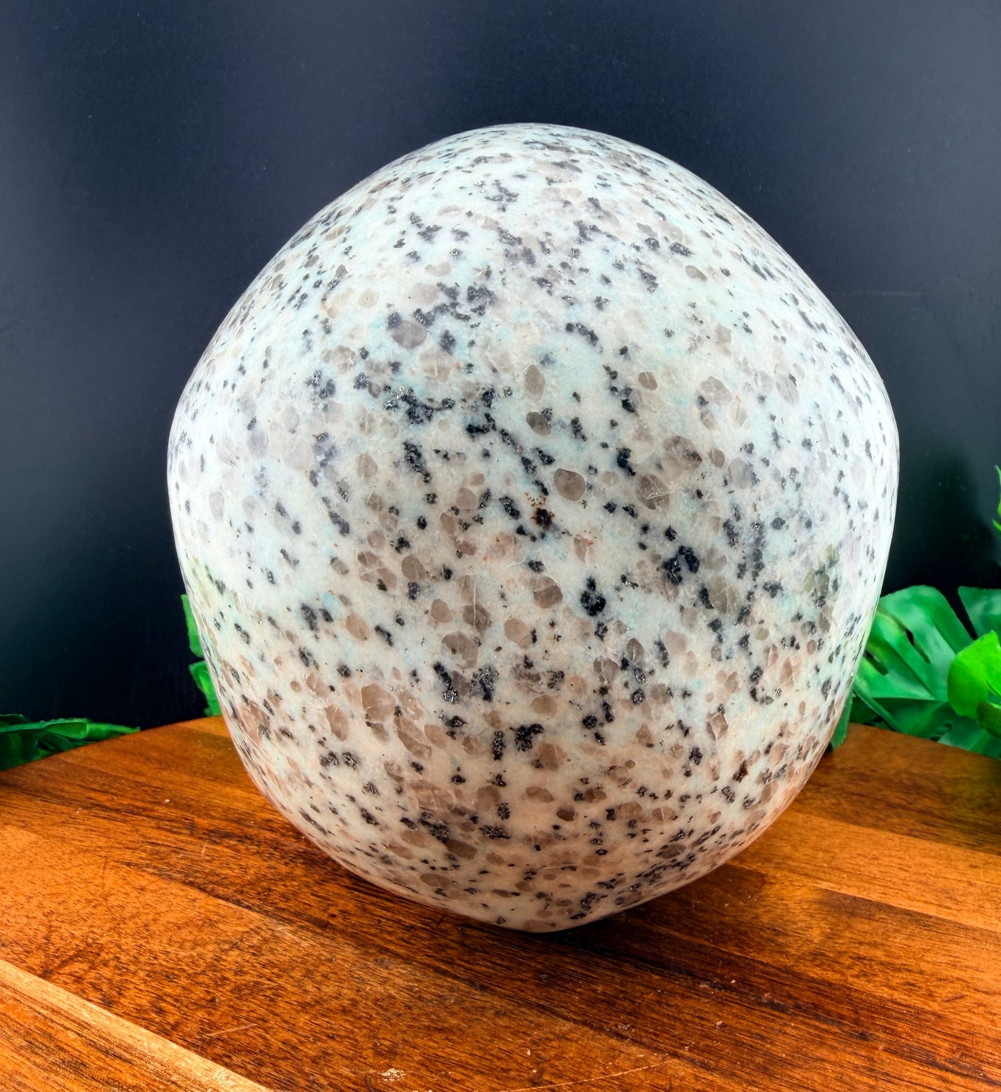 XL 7 inch Kiwi Jasper Skull