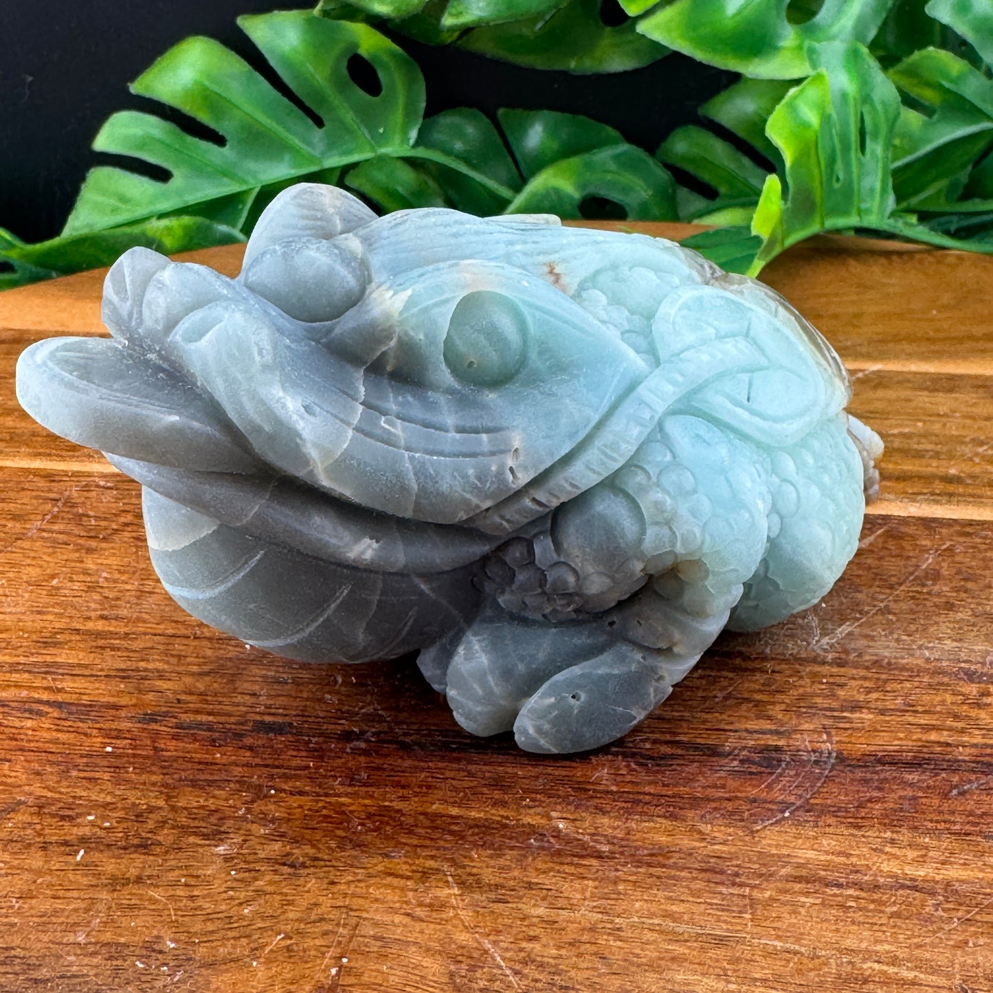 Amazonite Money Toad