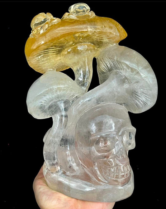 Brazilian Citrine in Clear Quartz Mushroom Skull