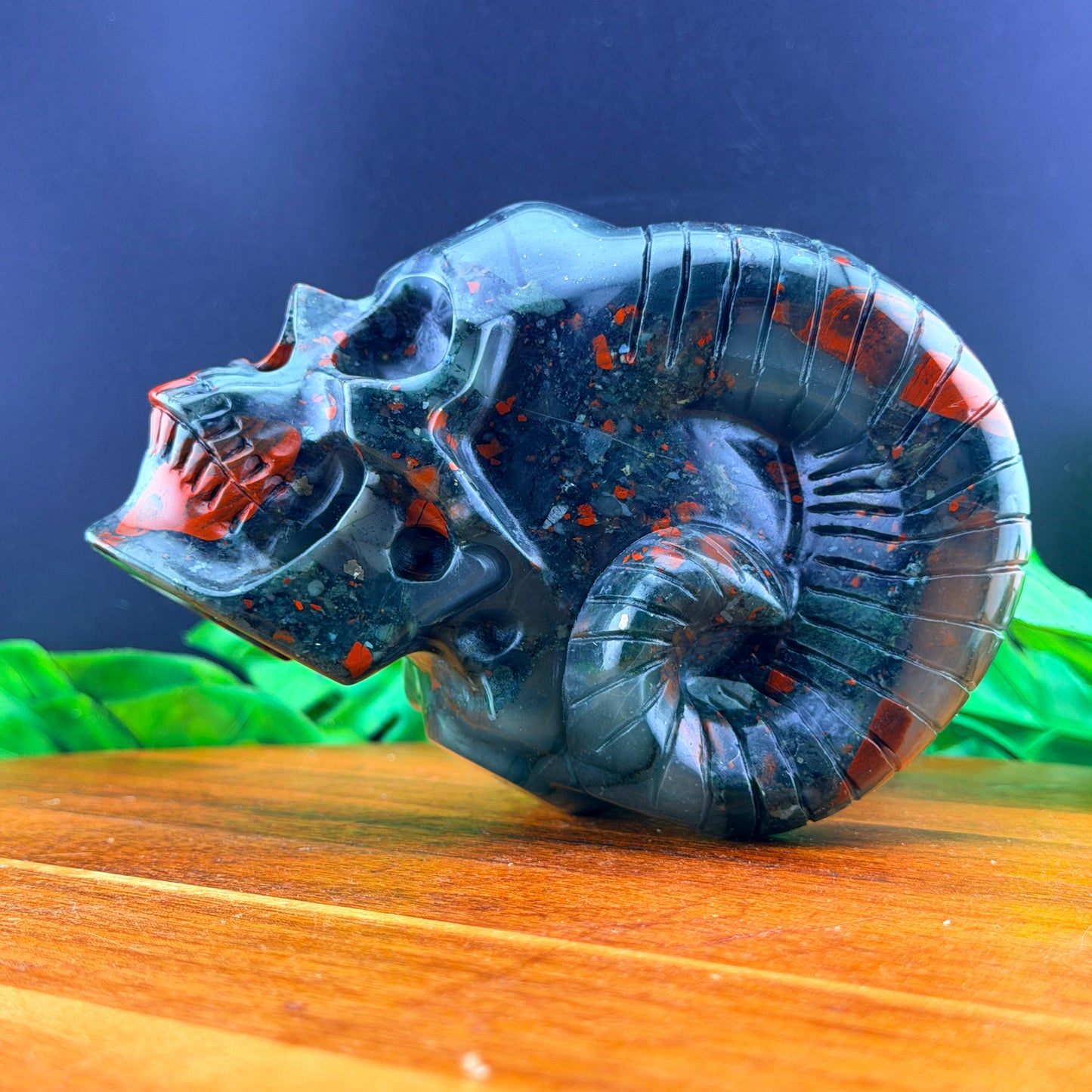 African Bloodstone Horned Skull