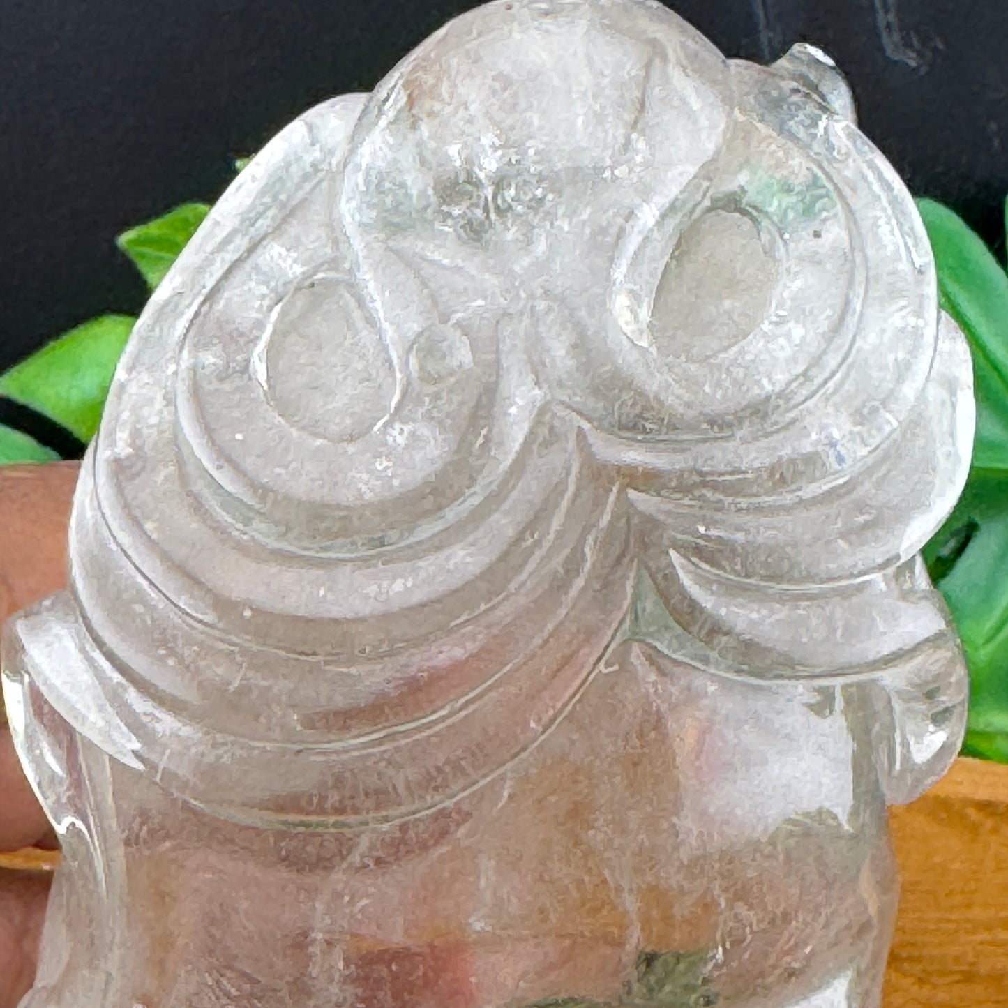 Clear Quartz Skull with Octopus Carving