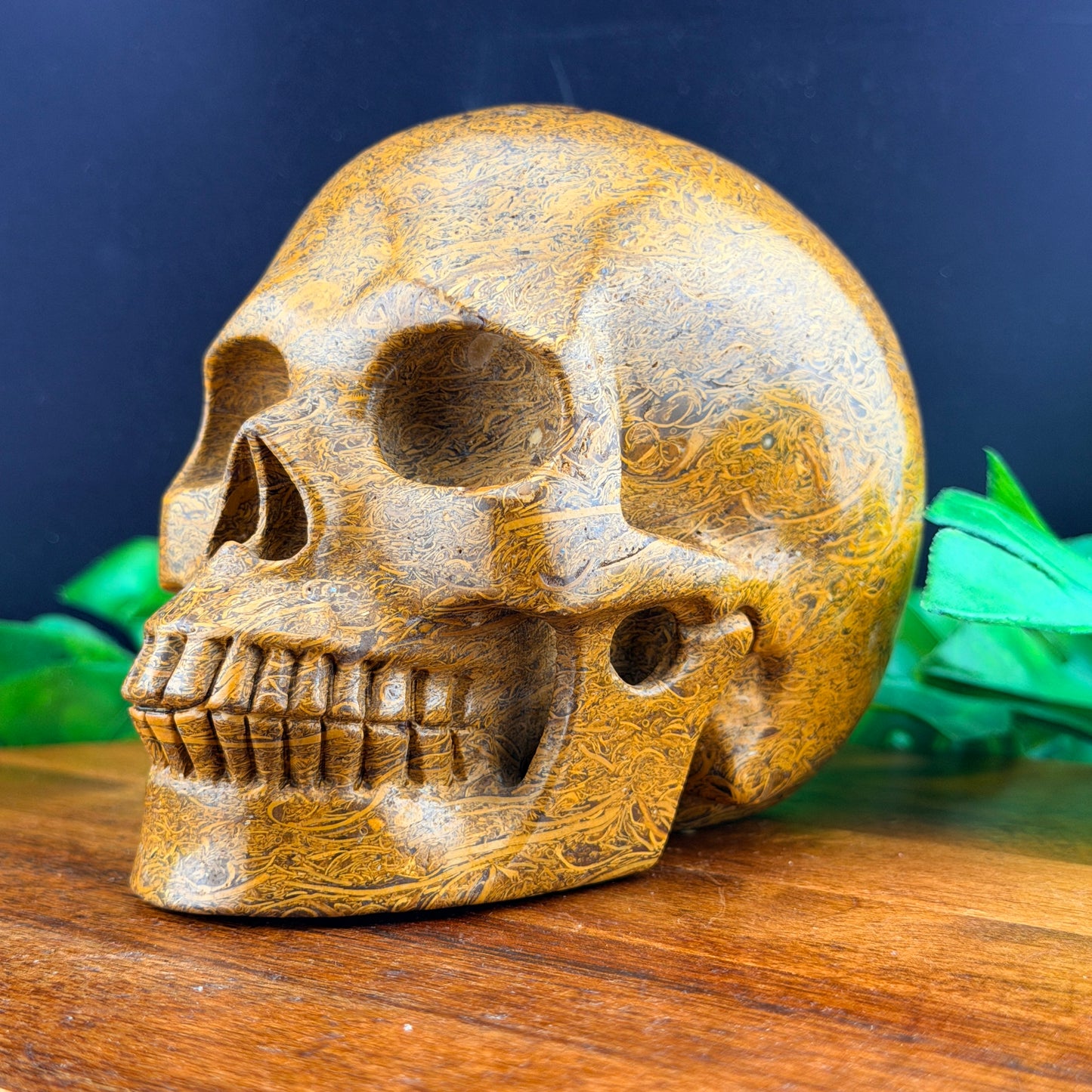 Elephant Skin Jasper Skull