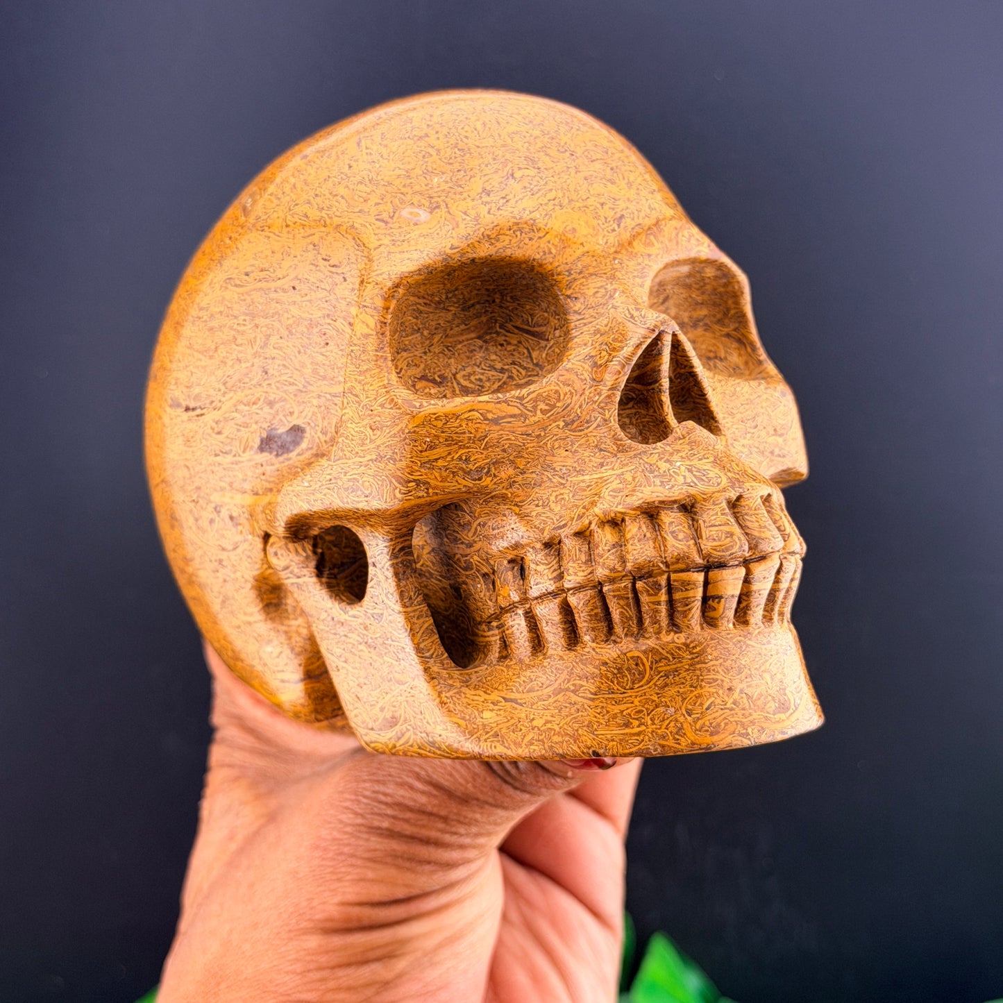 Elephant Skin Jasper Skull