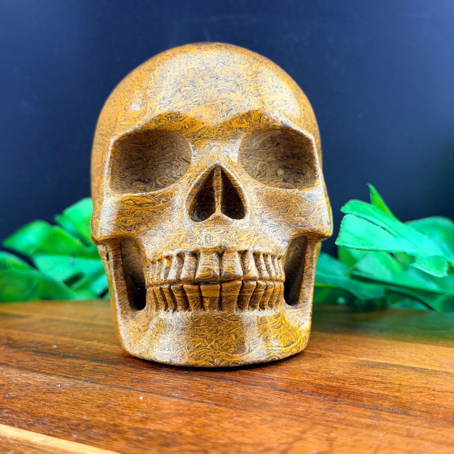 Elephant Skin Jasper Skull