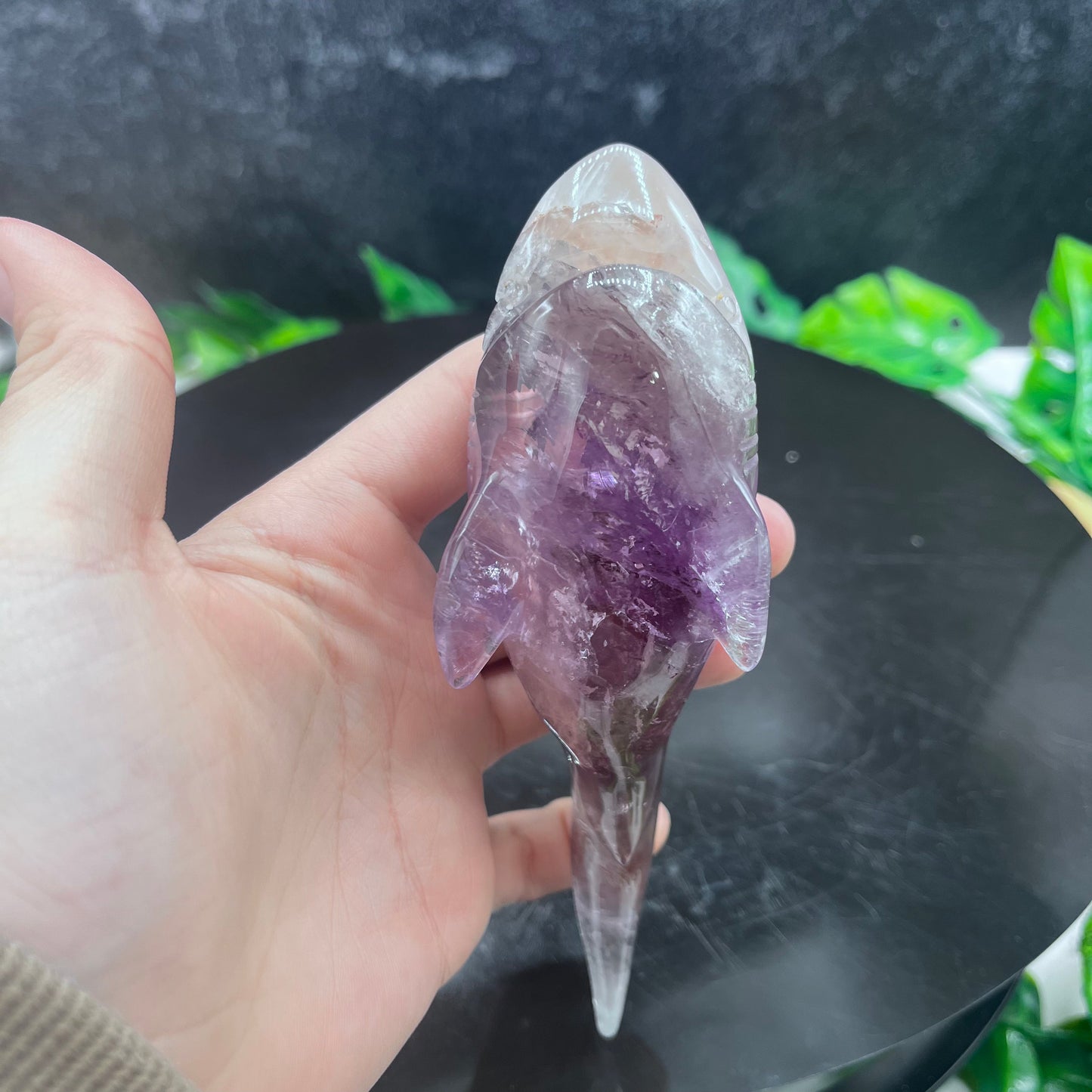 Amethyst Shark