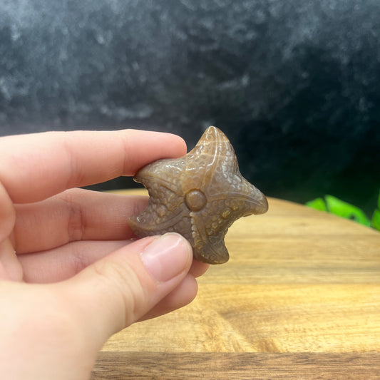 Black Moonstone with Confetti Sunstone Starfish