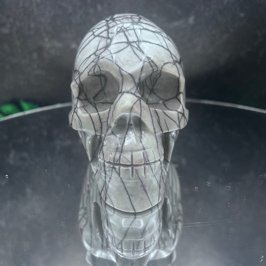 Spider Web Jasper Skull