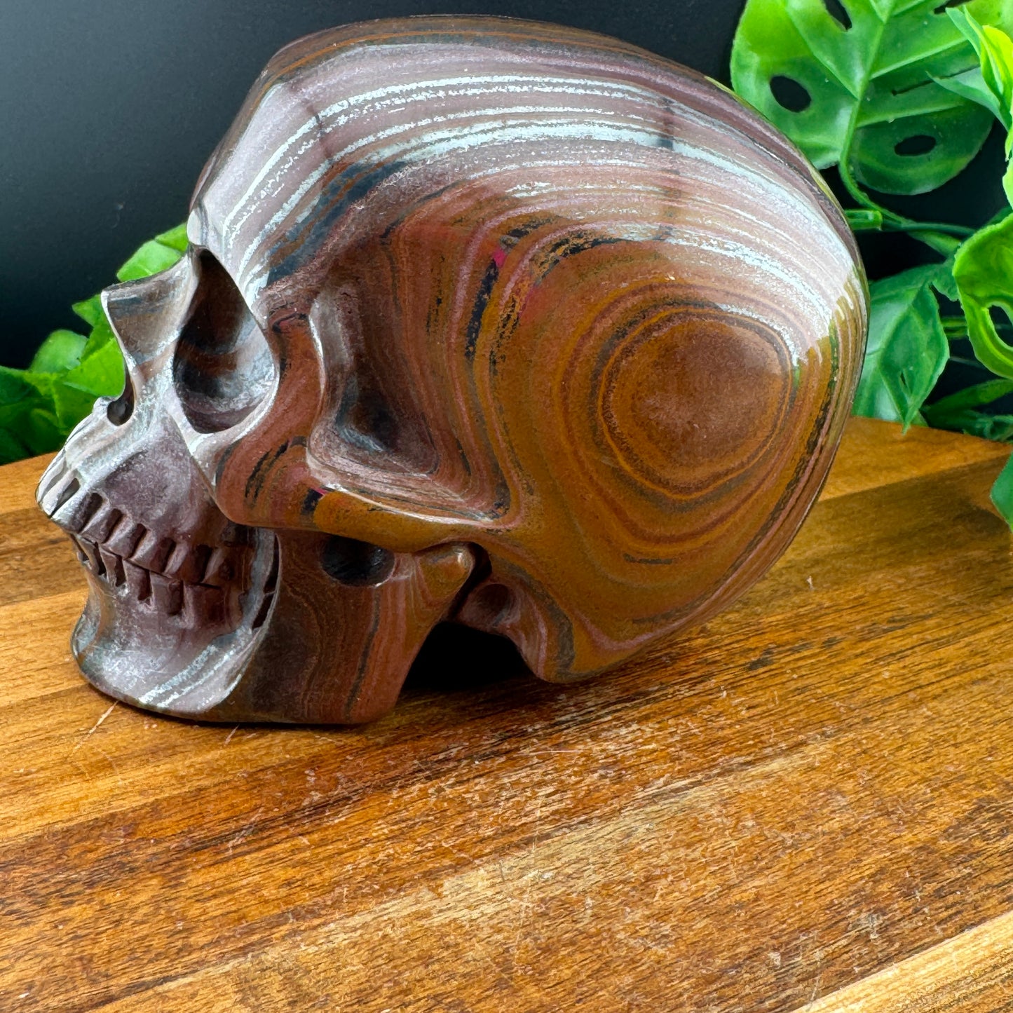 Rare Pink and Burgundy Tiger Iron Skull