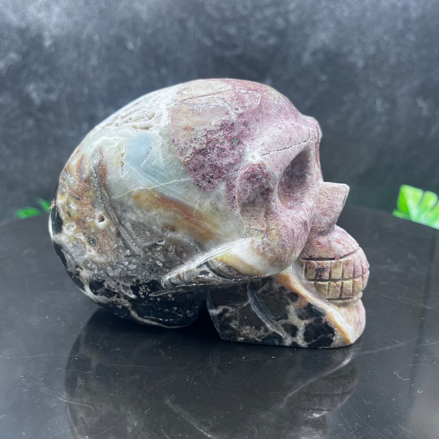 Caribbean Calcite Skull