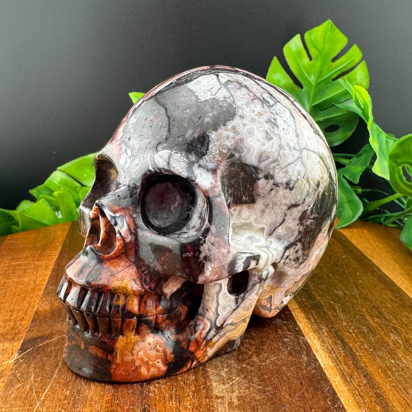 Mexican Crazy Lace Agate Skull