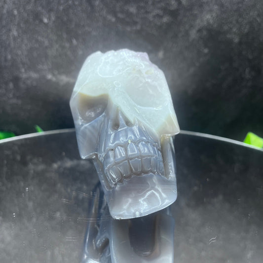Amethyst in Quartz Grey Agate Skull