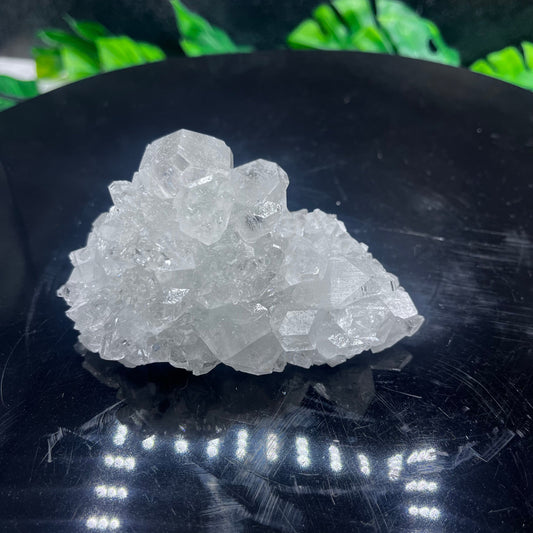 High Grade Apophyllite