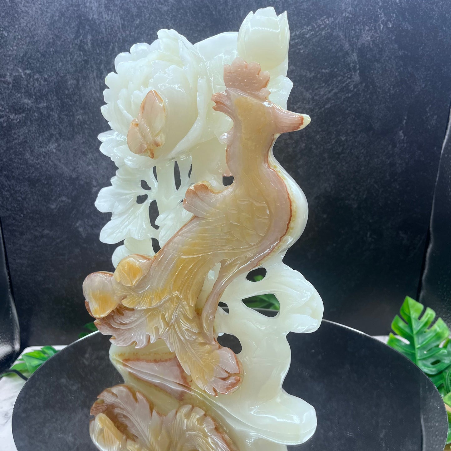 Onyx Peacock on Flower
