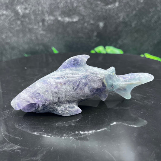 Fluorite Shark