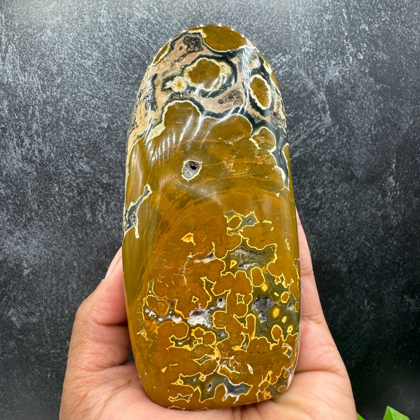Mustard Yellow Orbicular Jasper Freeform with Druzy