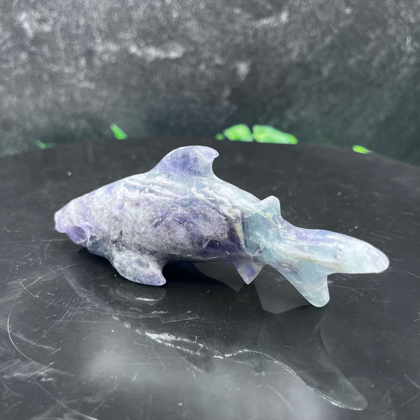 Fluorite Shark