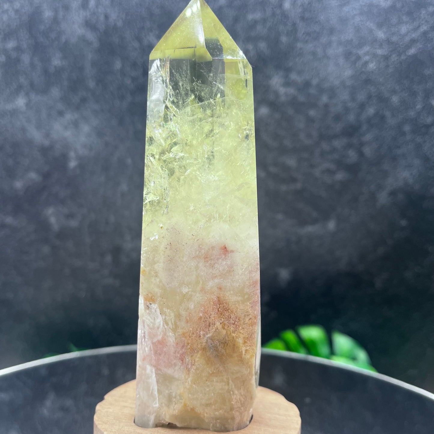 Ouro Verde Quartz in Wooden Stand