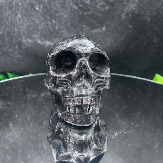 Garnet in Arfvedsonite Skull