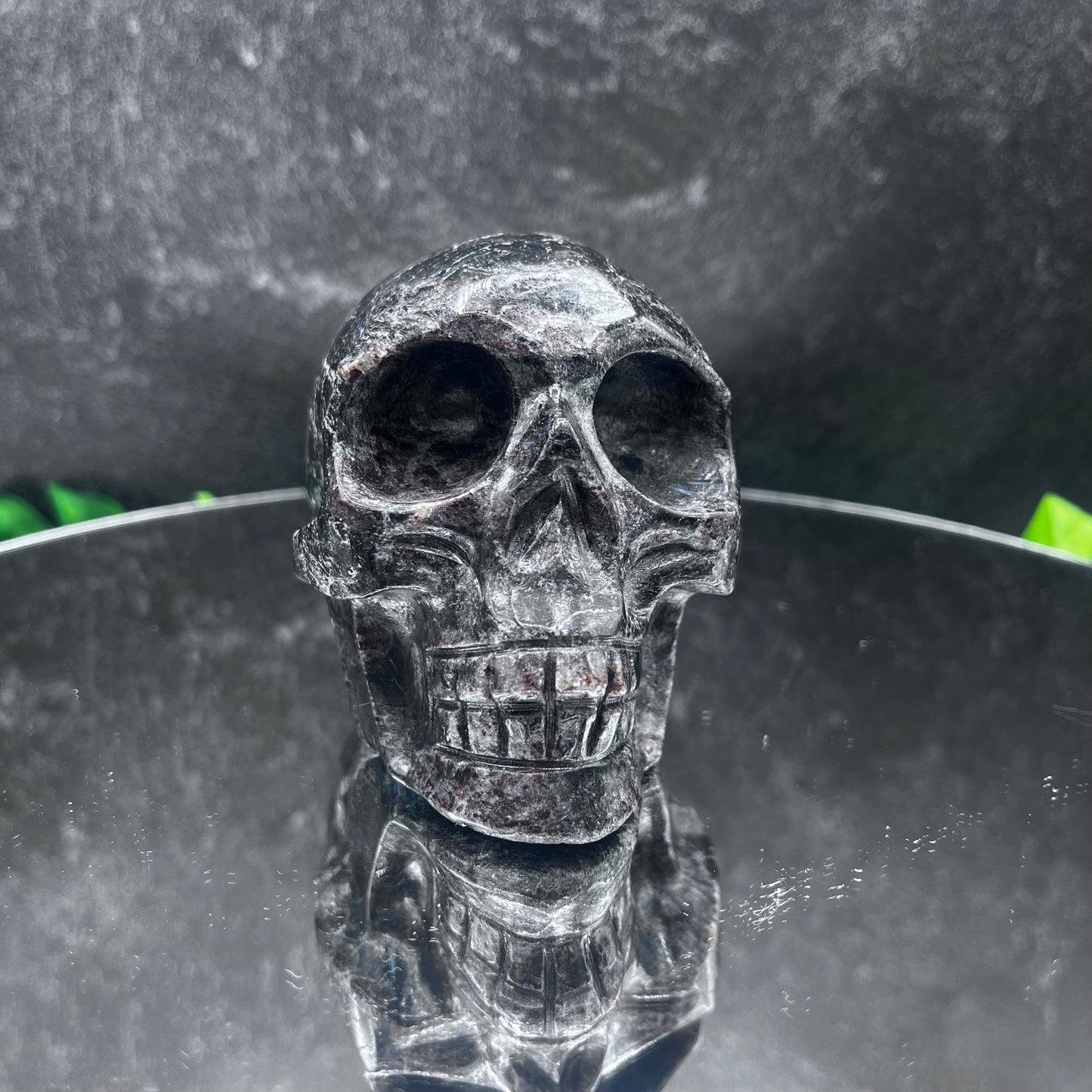 Garnet in Arfvedsonite Skull