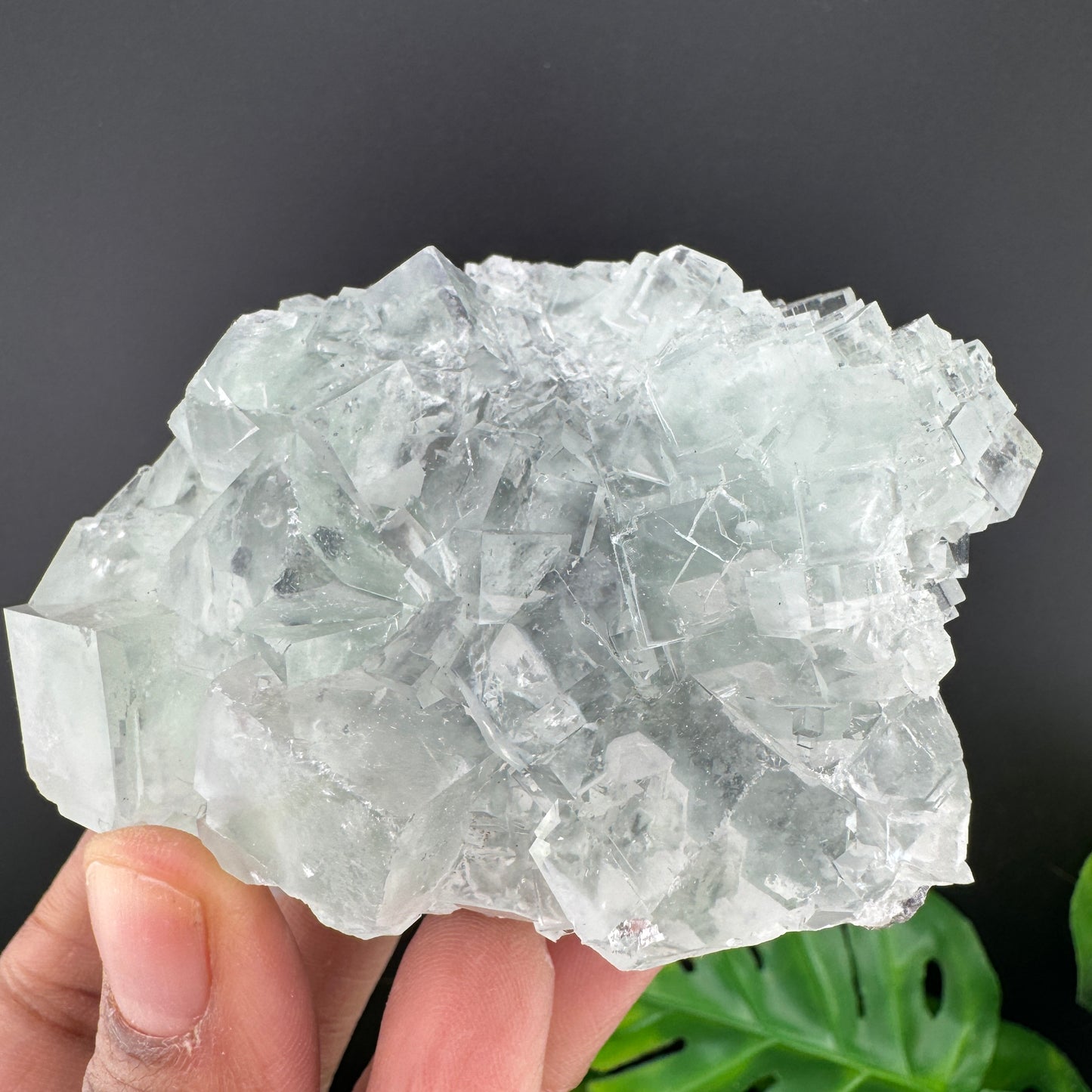 Glassy Green Fluorite Cluster Specimen