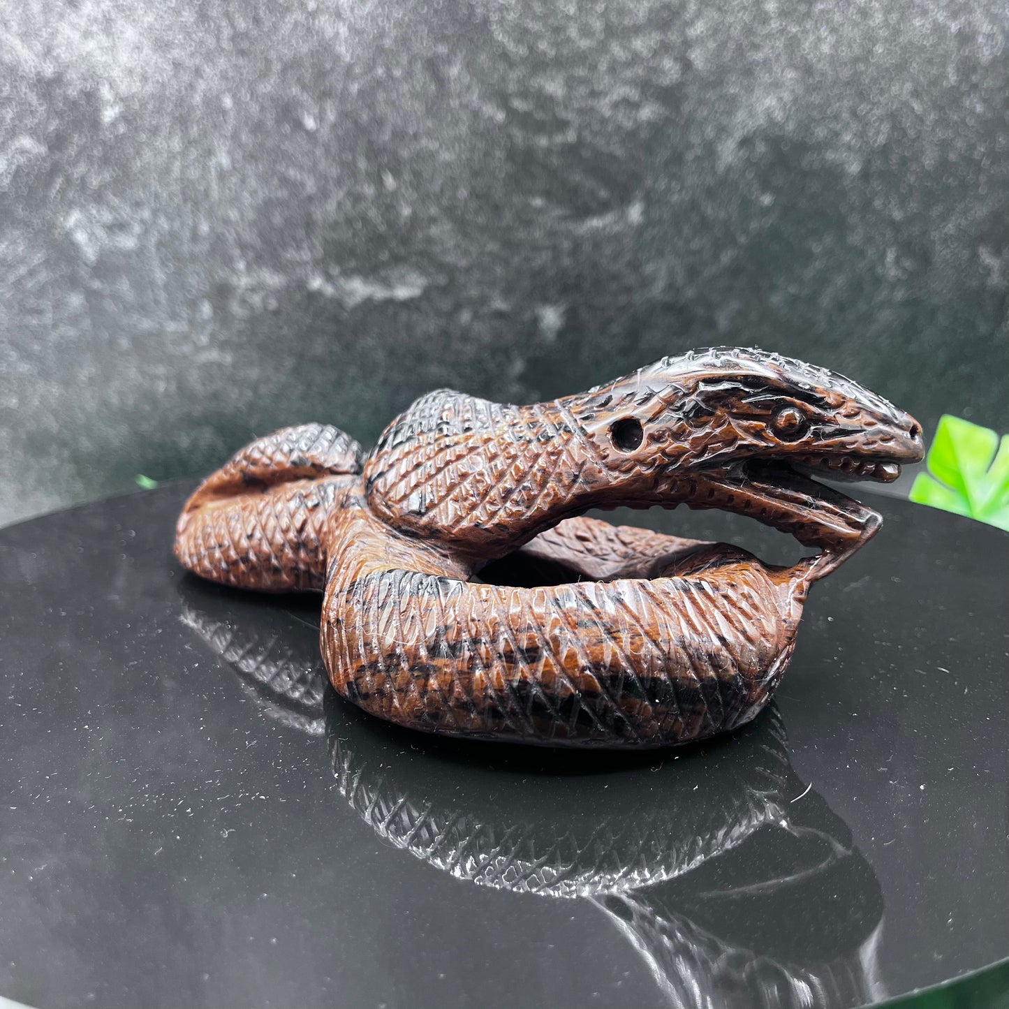 Mahogany Obsidian Snake