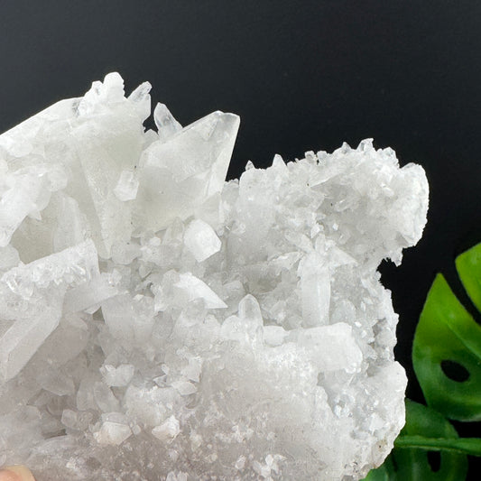 Clear Quartz Cluster Skull