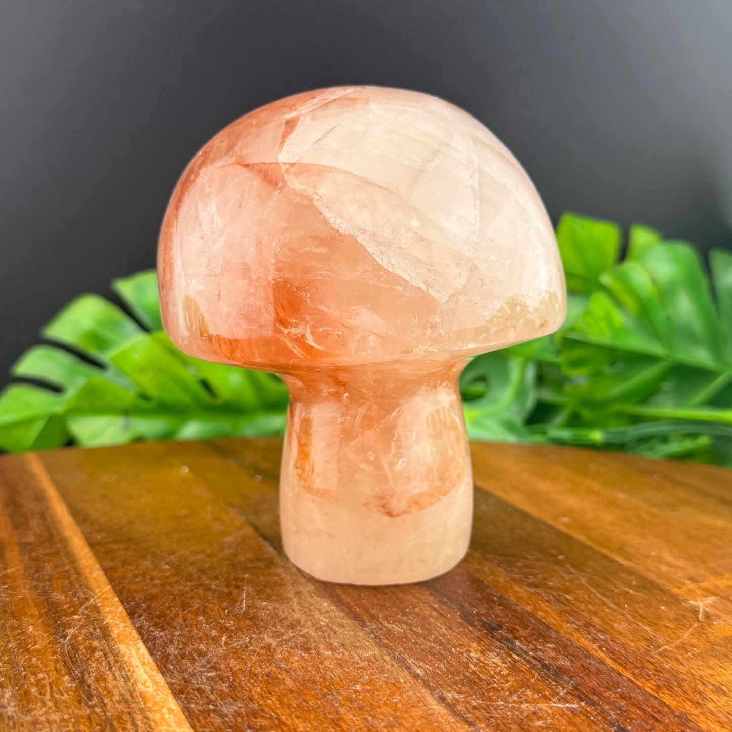 Golden Healer XL Mushie Carving