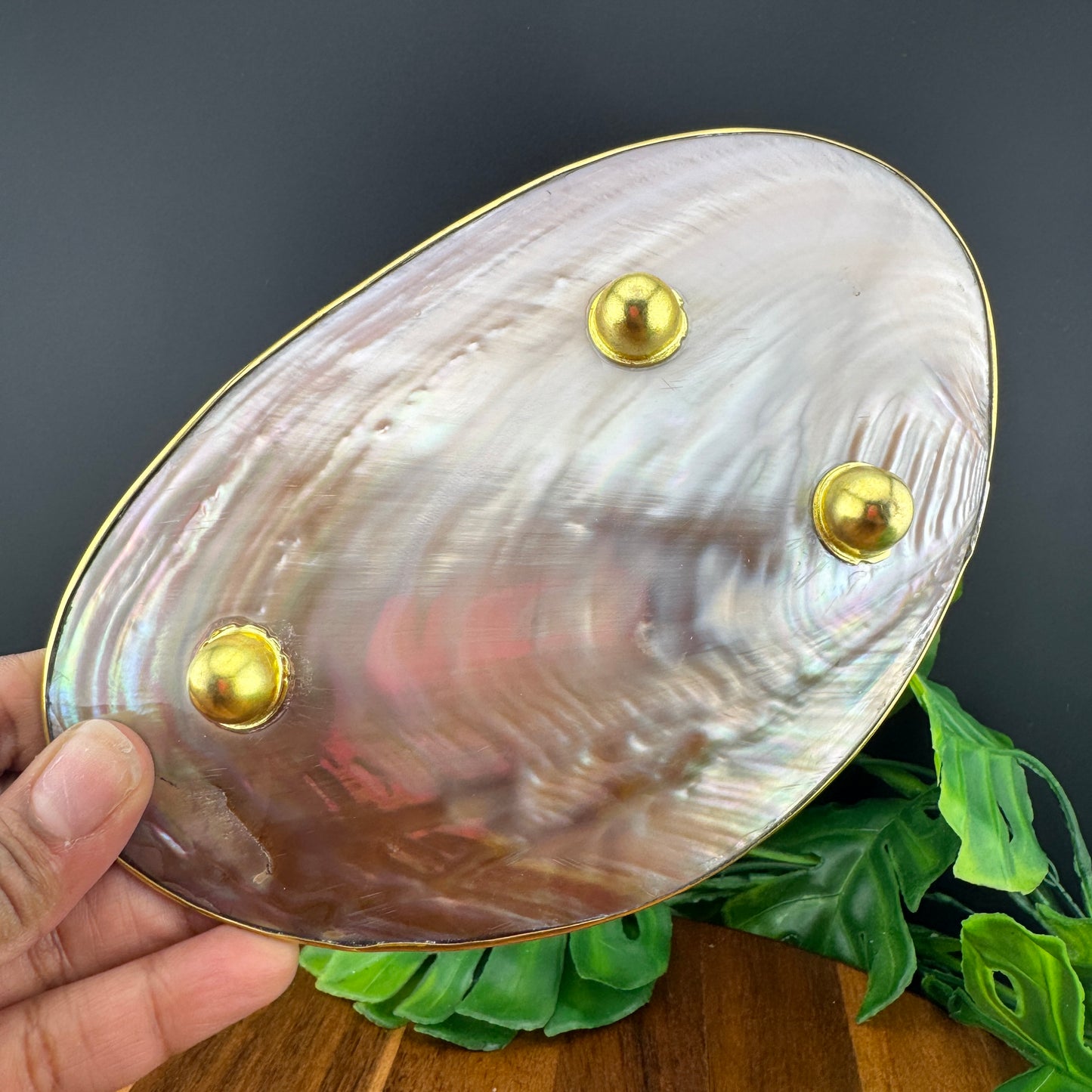 Mother of Pearl & Abalone Shell Ritual Dish